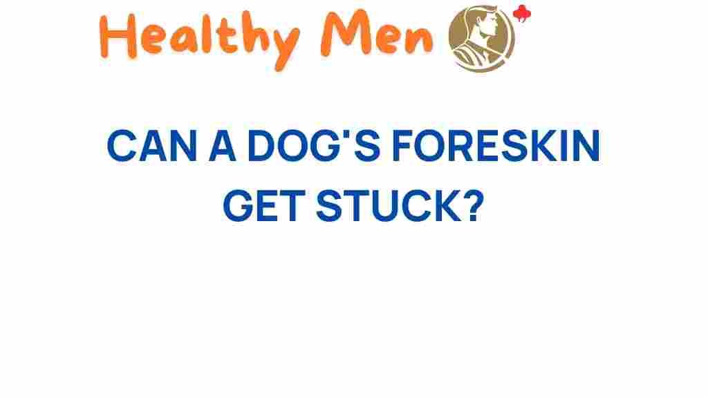 dogs-foreskin-get-stuck