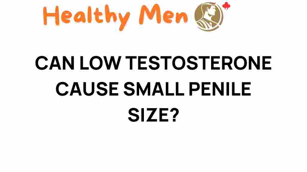 low-testosterone-penile-size