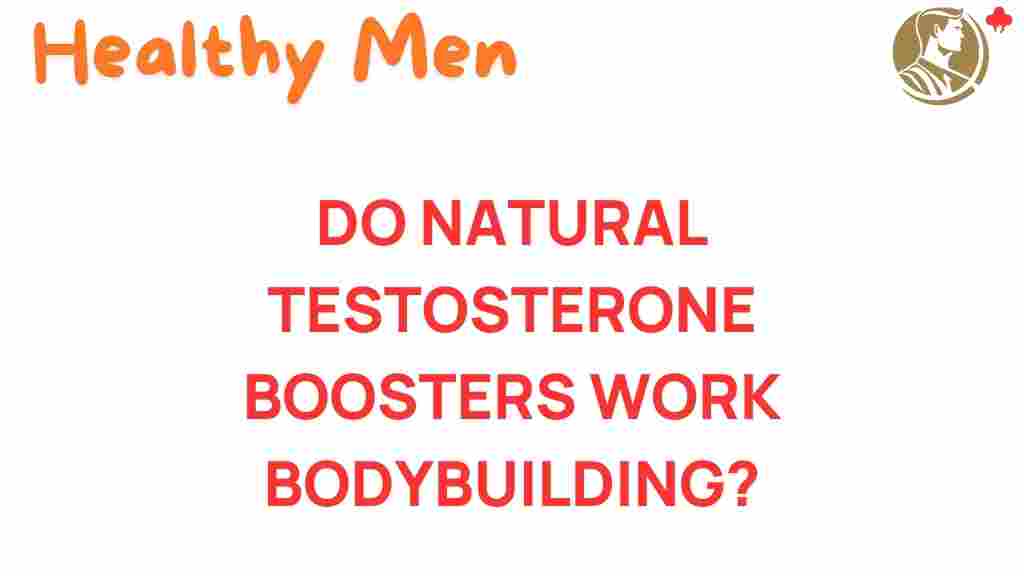 natural-testosterone-boosters-bodybuilding