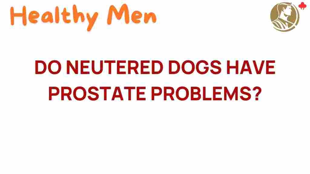 neutered-dogs-prostate-problems