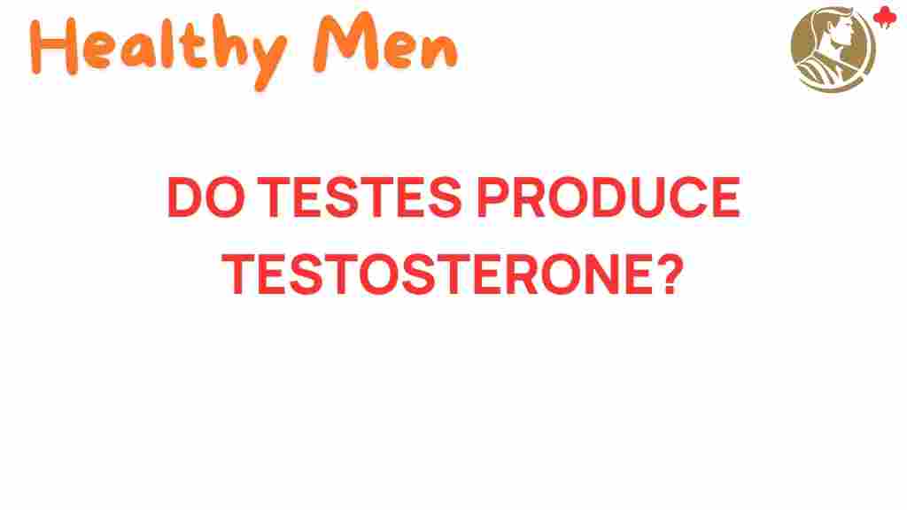 testes-testosterone-production
