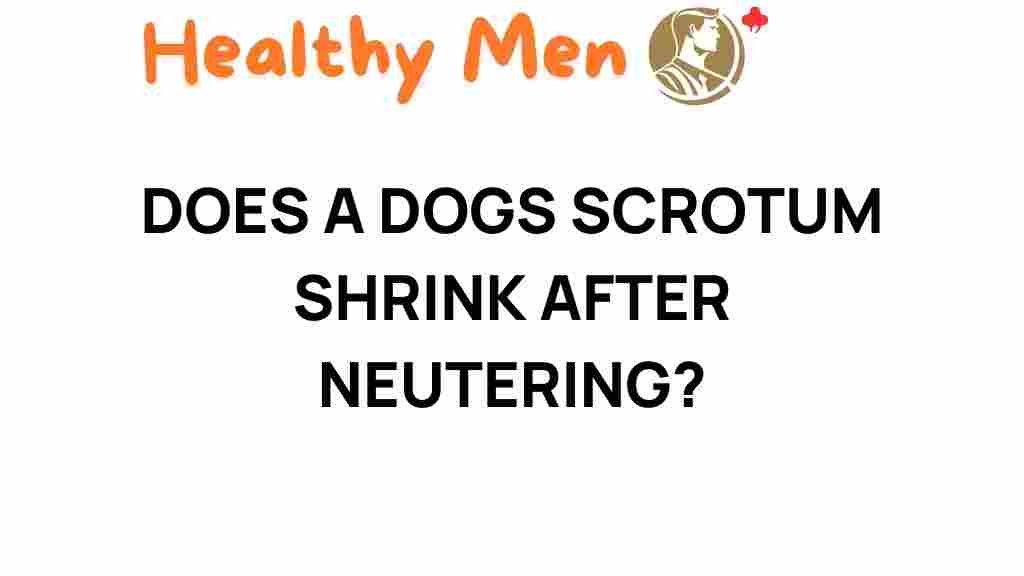 dog-neutering-scatrum-shrink