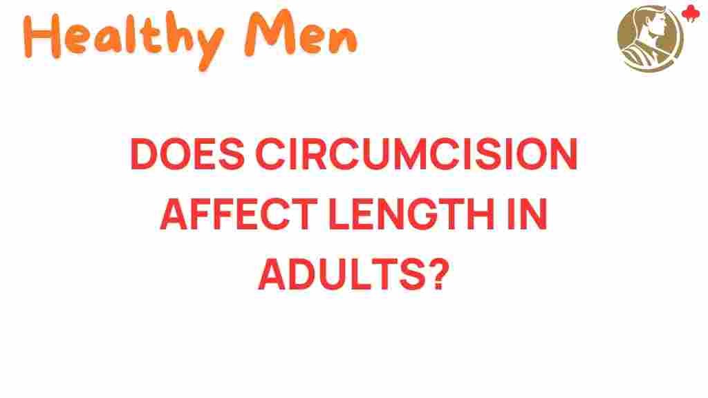 circumcision-impact-adult-length