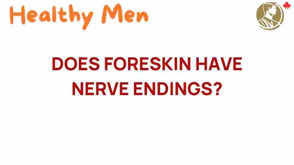 foreskin-nerve-endings