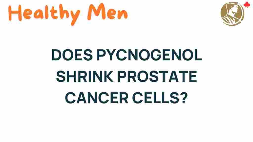 pycnogenol-shrink-prostate-cancer