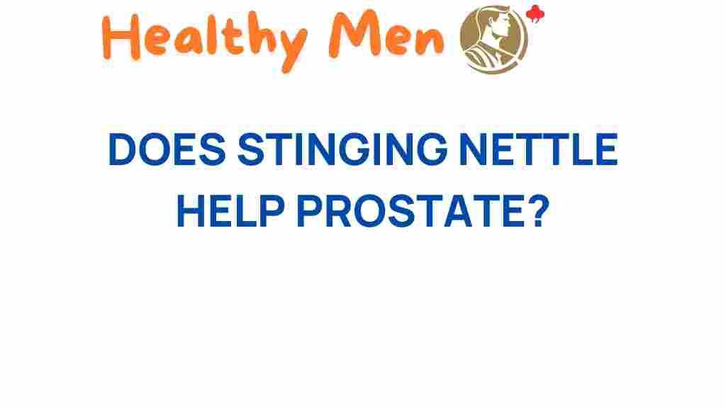 stinging-nettle-help-prostate