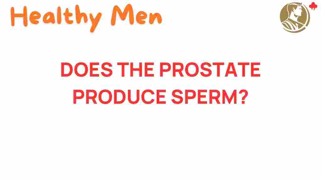 prostate-sperm-production