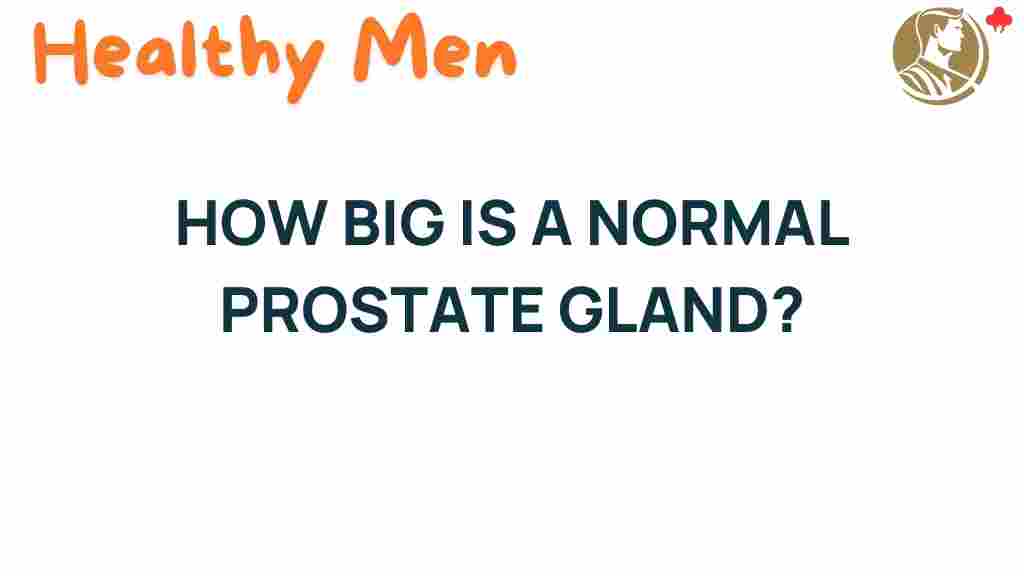 prostate-size-normal