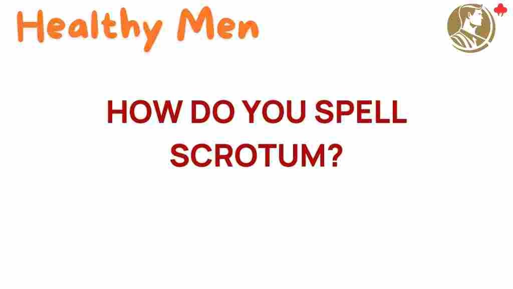 medical-terminology-scrotum