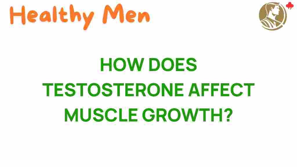 testosterone-muscle-growth