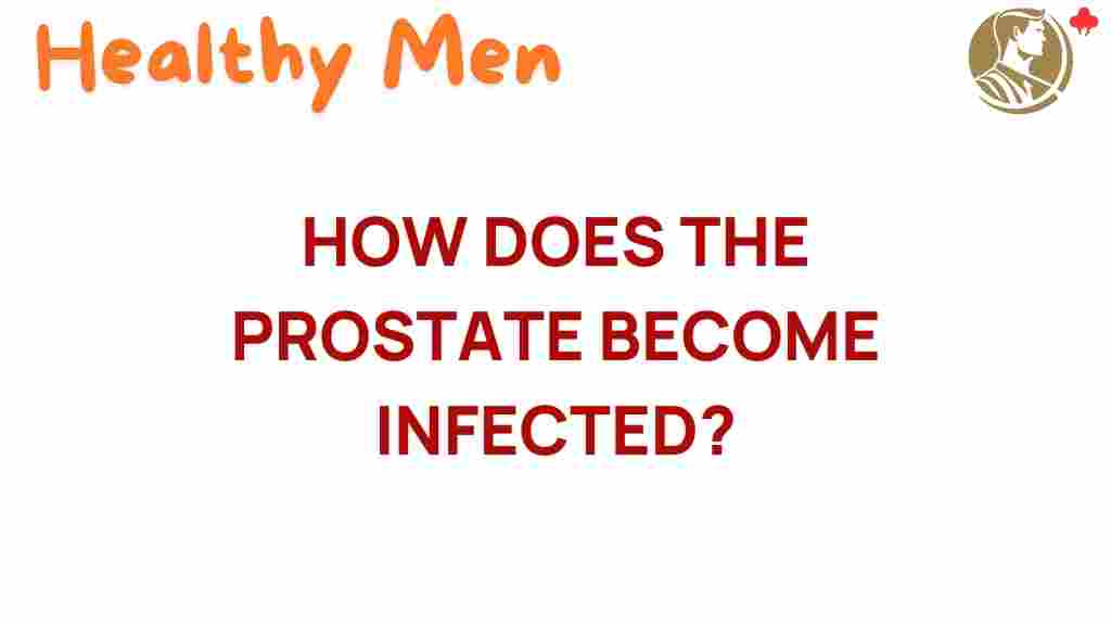 prostate-infection-explained