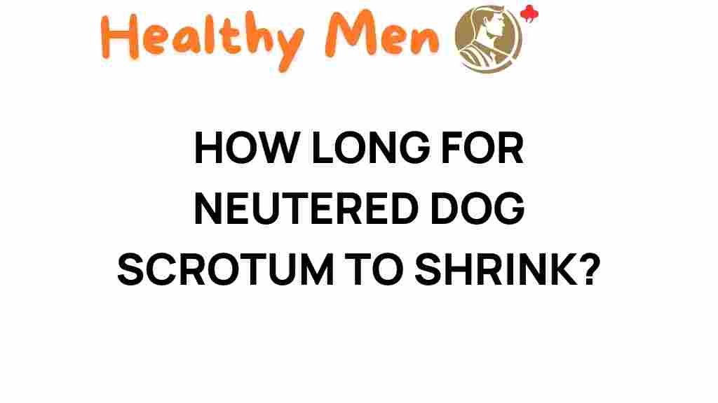 neutered-dog-scartum-shrinkage