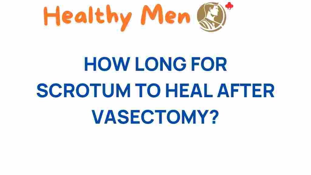 vasectomy-recovery-scrotum-healing