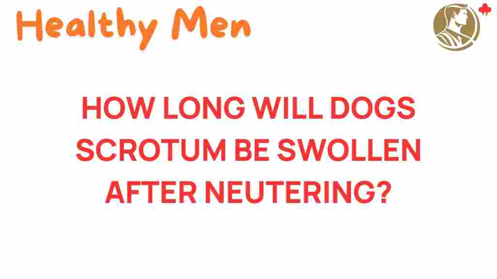 dog-neutering-scrotum-swelling