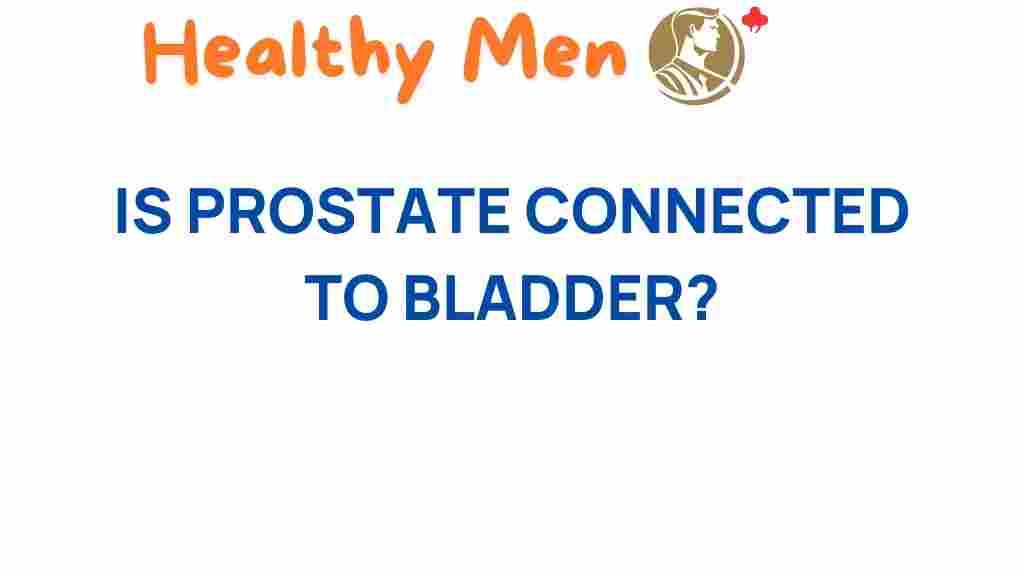 prostate-health-bladder-connection