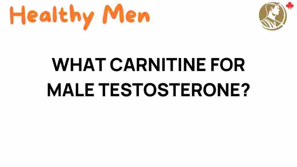 carnitine-male-testosterone