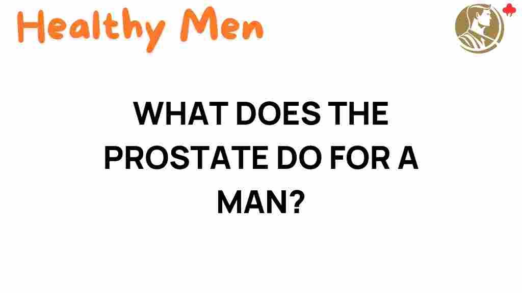 prostate-role-in-mens-health