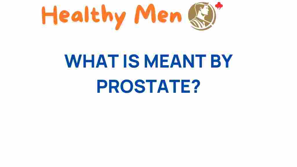 prostate-hidden-organ-men-health