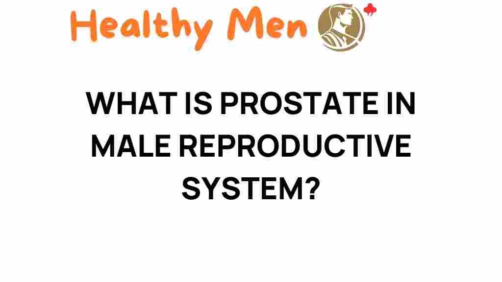 prostate-male-reproductive-health