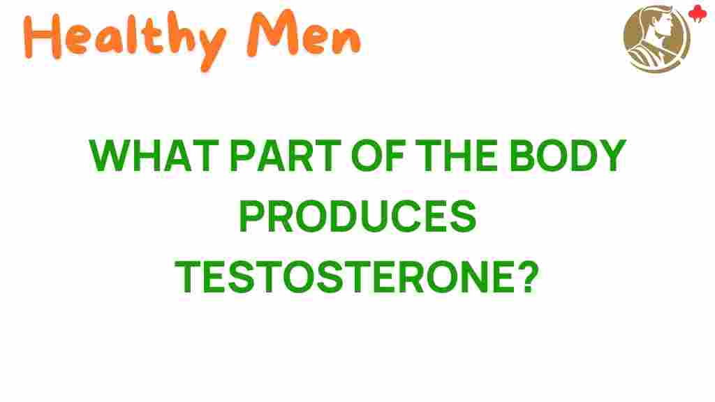 testosterone-production-body