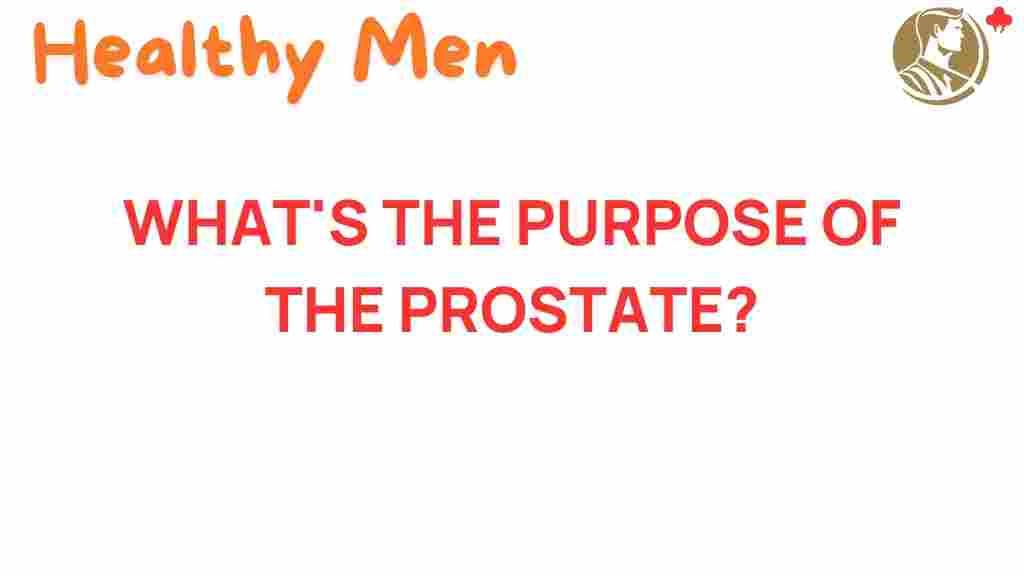 prostate-purpose-health