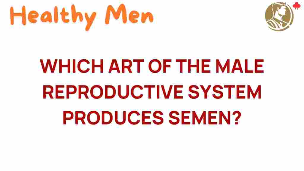 male-reproductive-system-semen-production