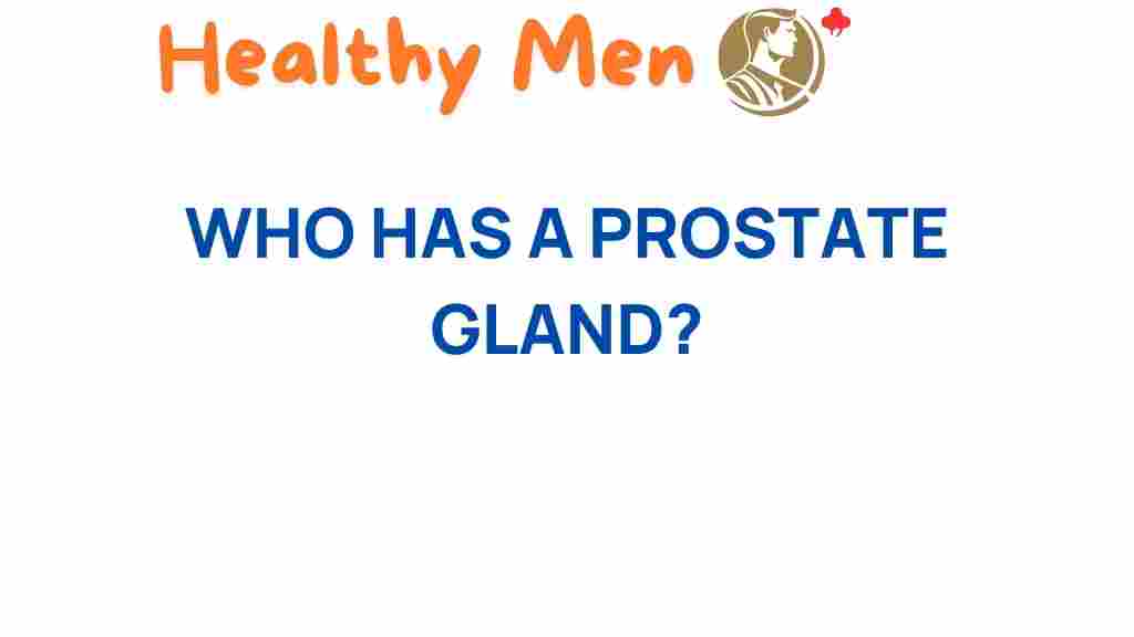 who-has-a-prostate-gland