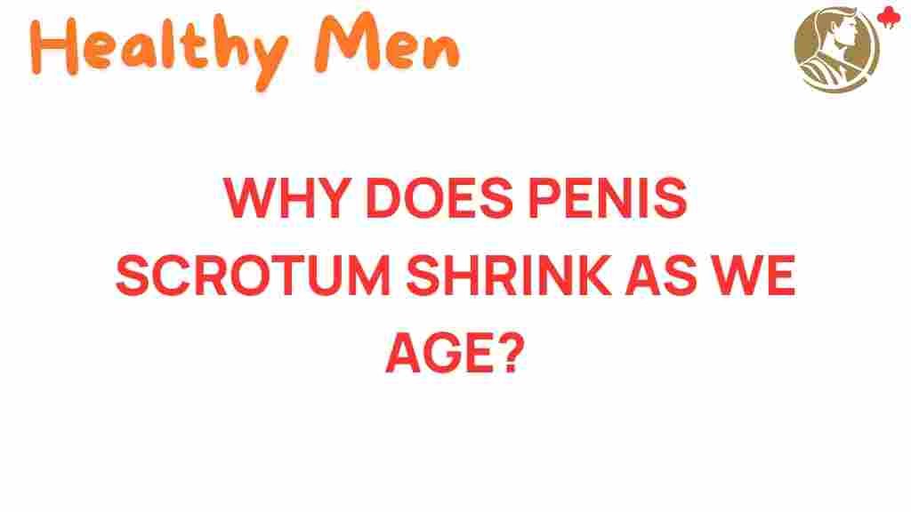 penis-scrotum-shrinkage-aging