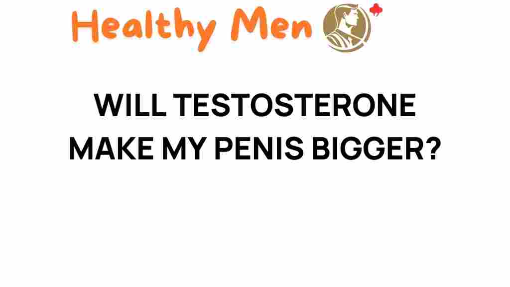 testosterone-penis-size
